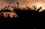 Skandaloes_2015_21
