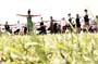 Skandaloes_2015_37