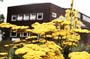 Skandaloes_2015_81