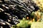 Skandaloes_2015_87