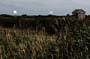 Skandaloes_2015_92